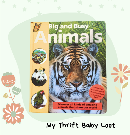 Preloved Big and Busy Animals Book